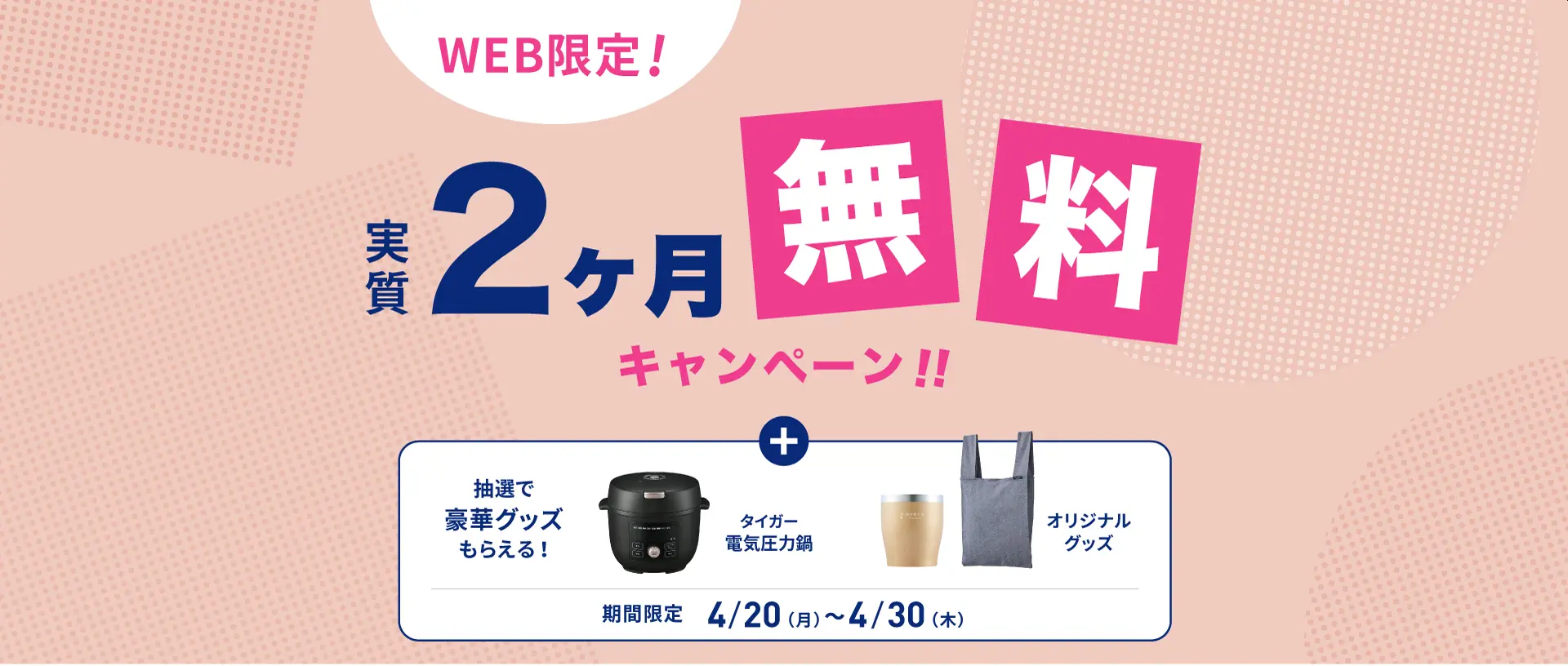【4/30まで】エブリィフレシャス「実質2ヶ月無料」キャンペーン更新